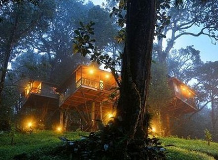 Munnar Nature zone Jungle Resort